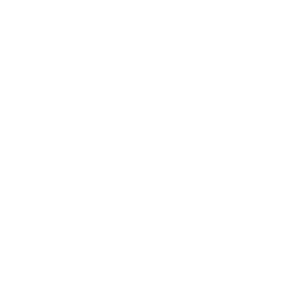 Falkirk F.C.